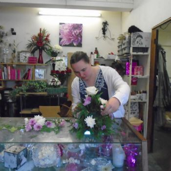 Work and Community Experience (17)